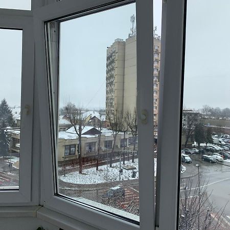 אלבה לוליה Apartament Viorela מראה חיצוני תמונה