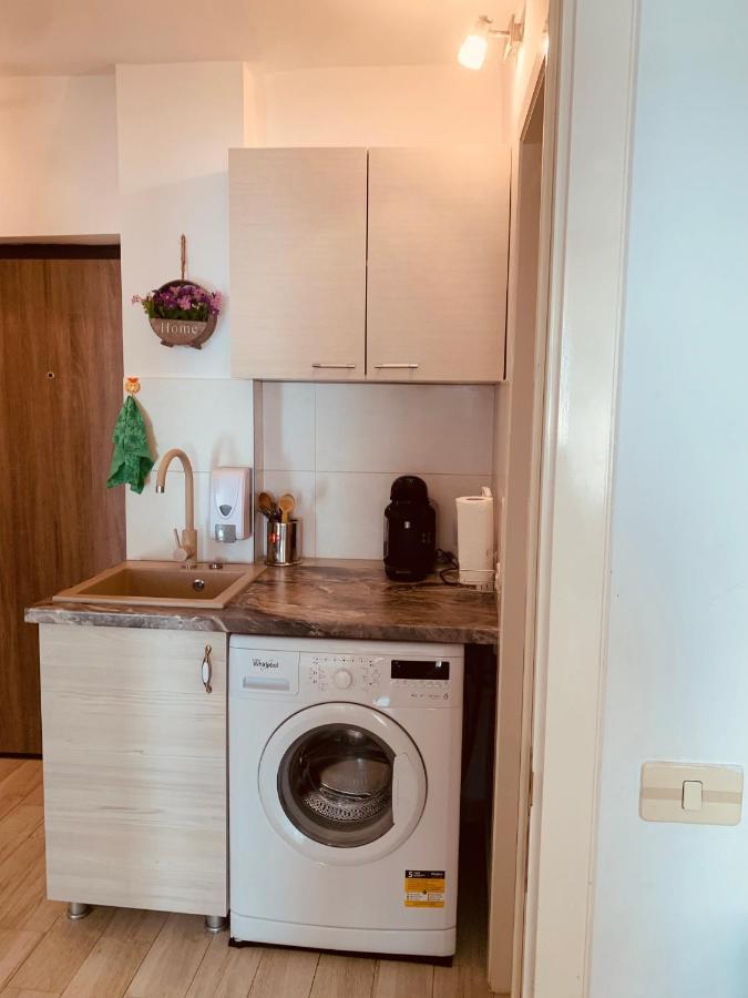 אלבה לוליה Apartament Viorela מראה חיצוני תמונה