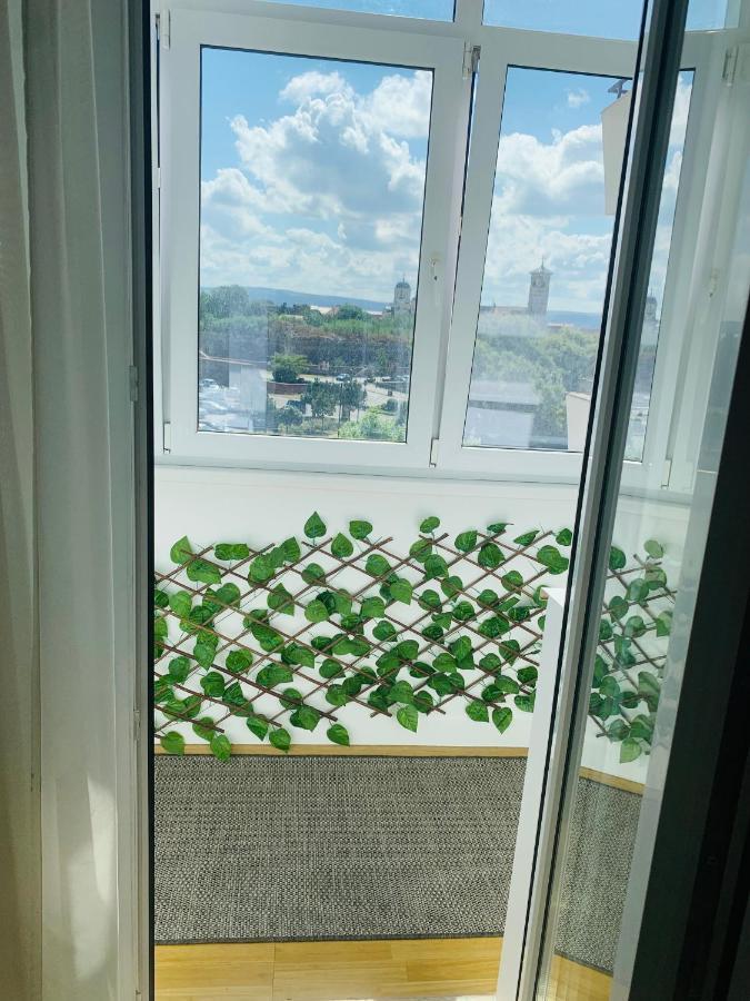 אלבה לוליה Apartament Viorela מראה חיצוני תמונה