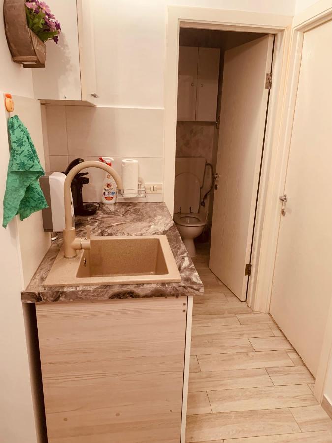 אלבה לוליה Apartament Viorela מראה חיצוני תמונה