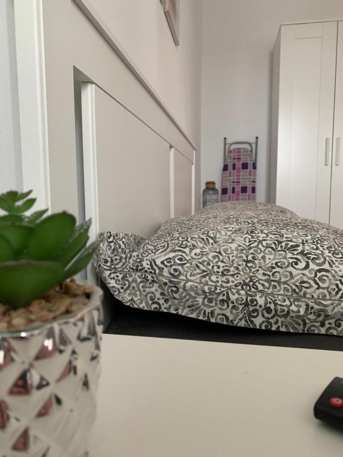 אלבה לוליה Apartament Viorela מראה חיצוני תמונה